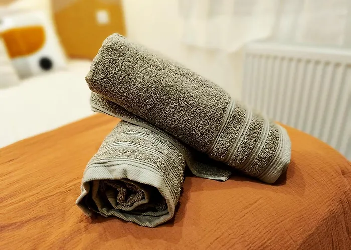 Appartement Lerelaisdodile Proche Gare Cambrai